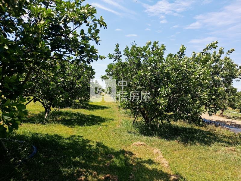 麻豆近南科柚見幸福美農地房屋室內格局與周邊環境
