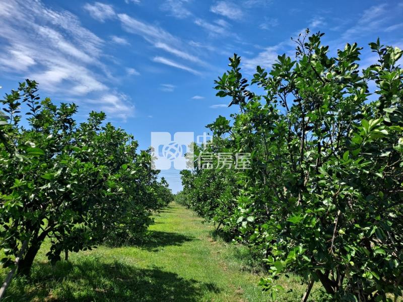 麻豆近南科柚見幸福美農地房屋室內格局與周邊環境