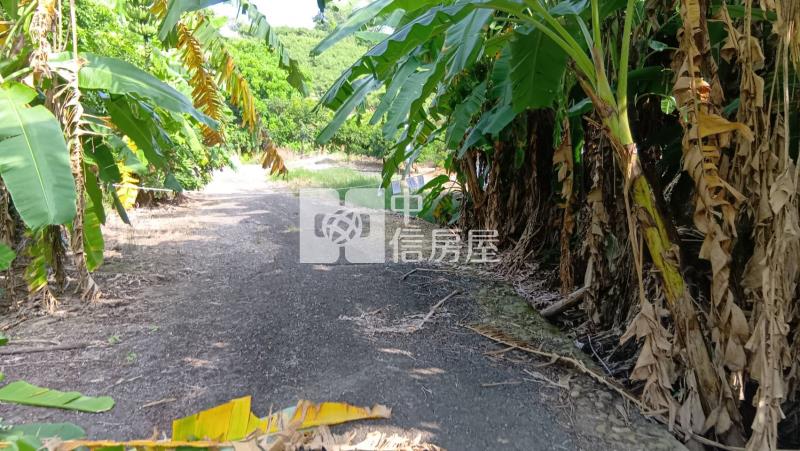 官田村莊旁7.3分超便宜景觀農地房屋室內格局與周邊環境