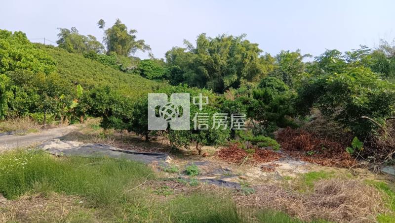 官田村莊旁7.3分超便宜景觀農地房屋室內格局與周邊環境