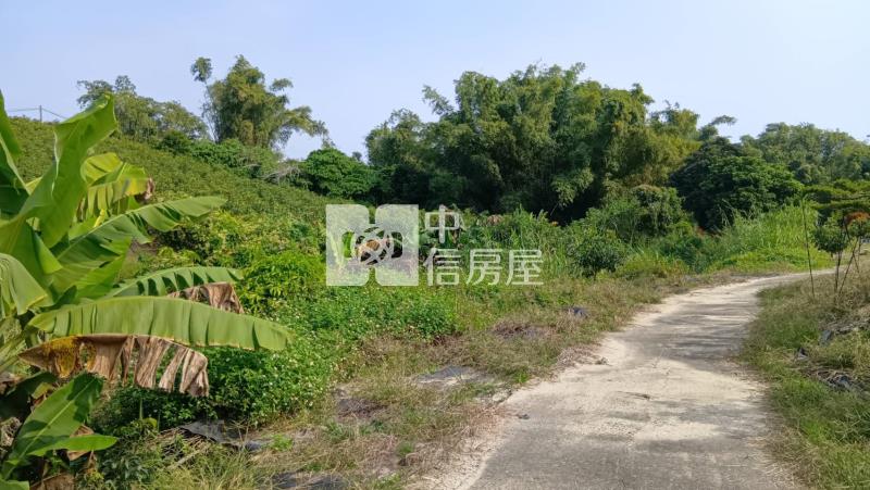 官田村莊旁7.3分超便宜景觀農地房屋室內格局與周邊環境