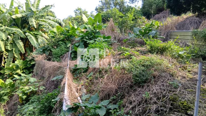 官田村莊旁7.3分超便宜景觀農地房屋室內格局與周邊環境