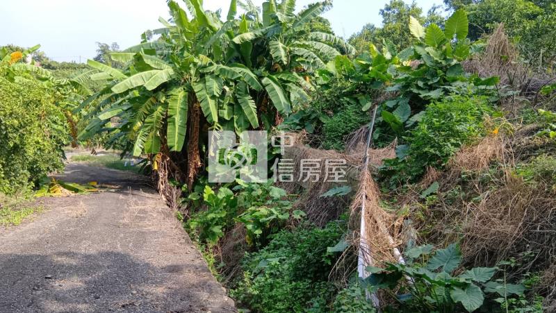 官田村莊旁7.3分超便宜景觀農地房屋室內格局與周邊環境