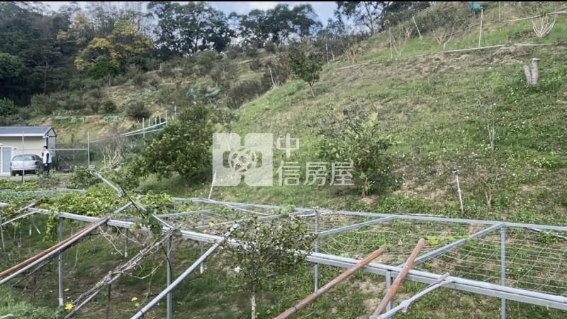 近苗栗造橋火車站、造橋都市計畫內農建地房屋室內格局與周邊環境