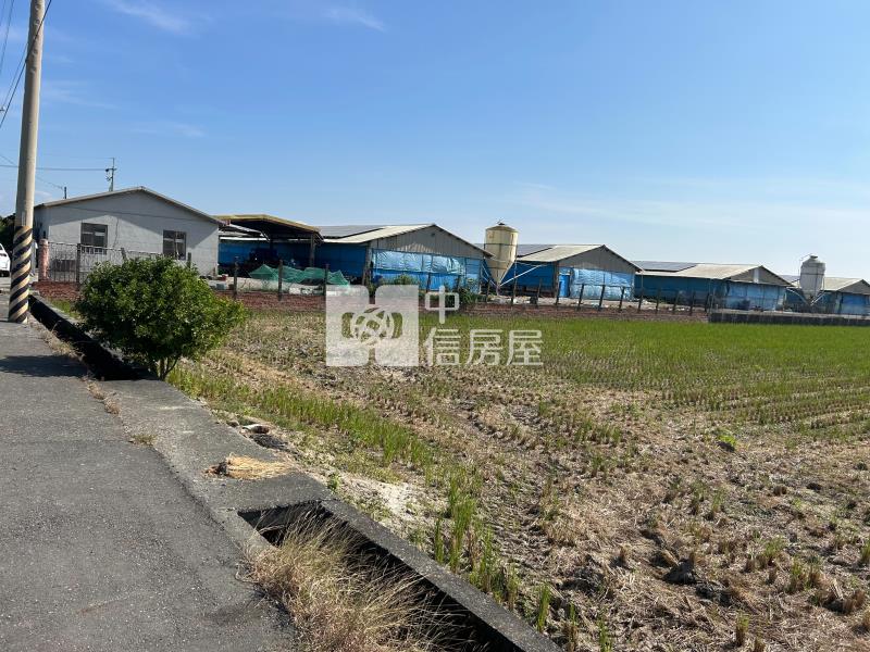 下營大面寬有水有電4.1分農地房屋室內格局與周邊環境