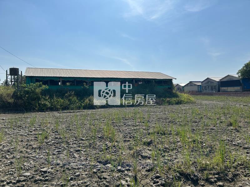 下營大面寬有水有電4.1分農地房屋室內格局與周邊環境