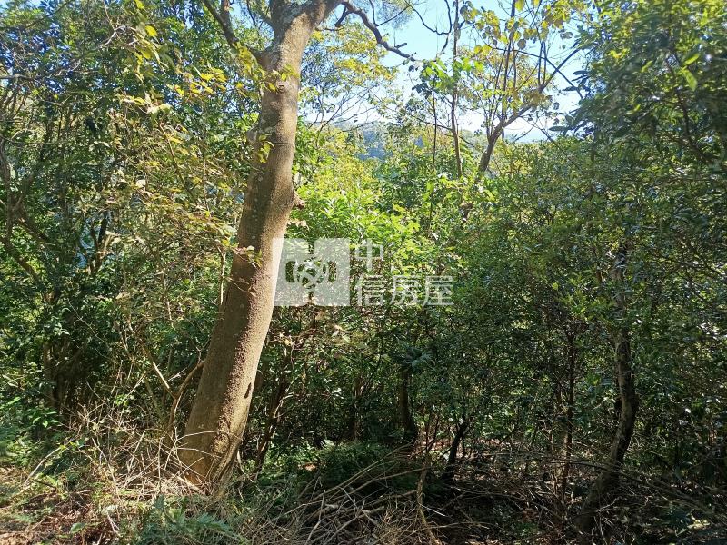 【奔馳】芎林鄉王爺坑段山坡保育區農地2307坪房屋室內格局與周邊環境