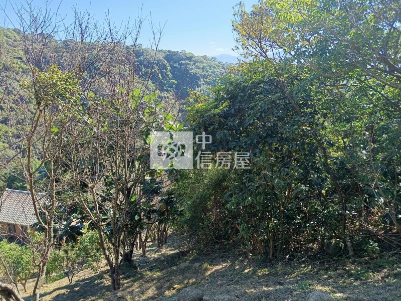 【奔馳】芎林鄉王爺坑段山坡保育區農地2307坪房屋室內格局與周邊環境