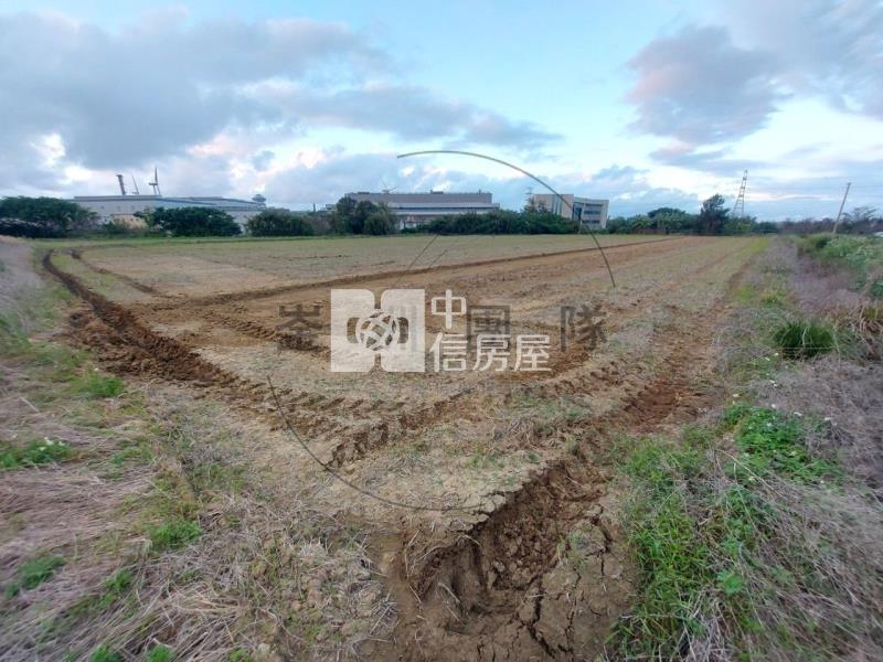 新屋濱海公路一般農房屋室內格局與周邊環境