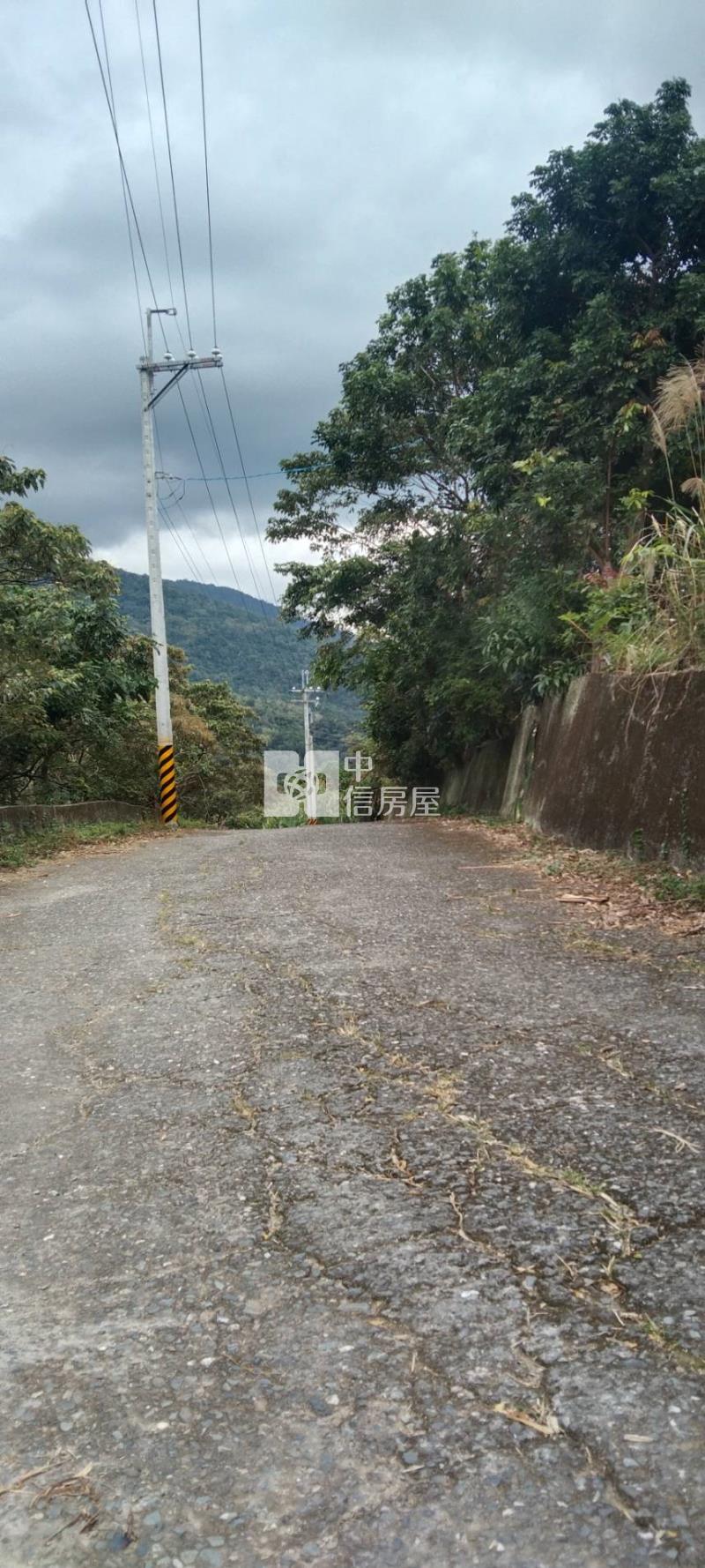 台東知本山坡保育林業用地