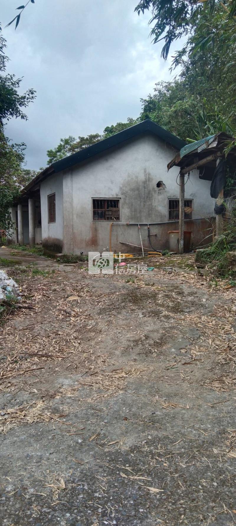台東知本山坡保育林業用地房屋室內格局與周邊環境
