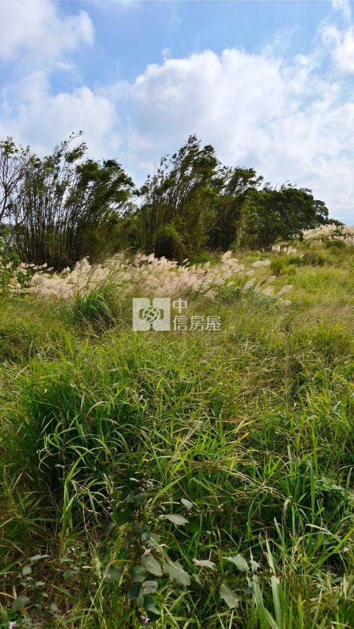 香山青青草原旁平坦美農地房屋室內格局與周邊環境