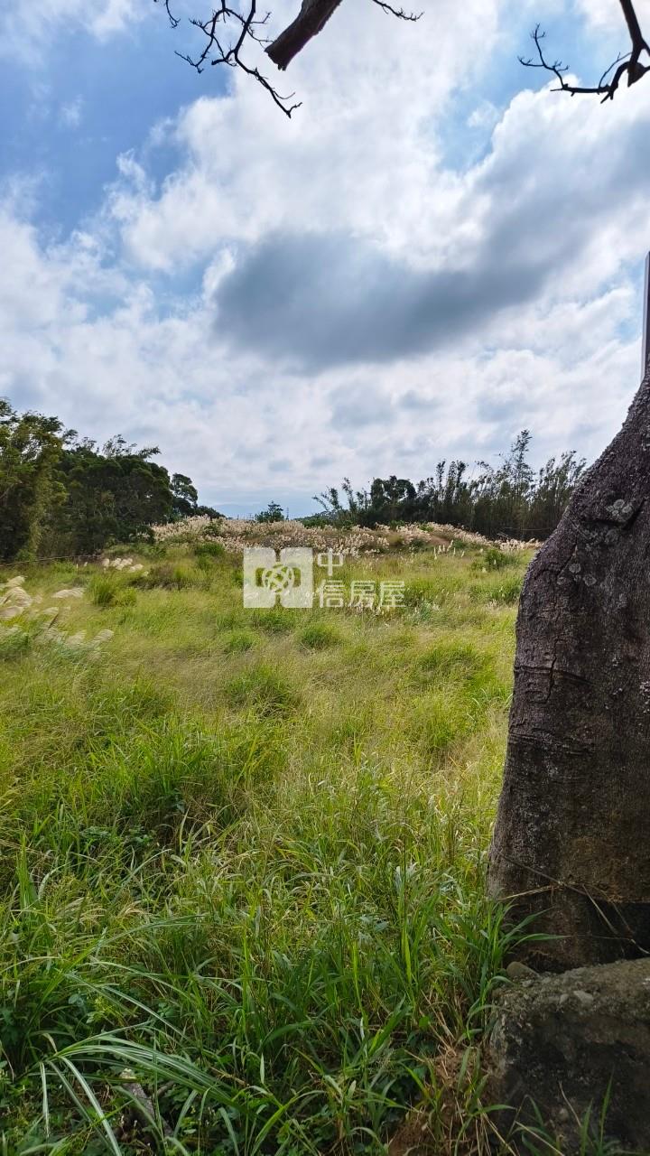 香山青青草原旁平坦美農地房屋室內格局與周邊環境