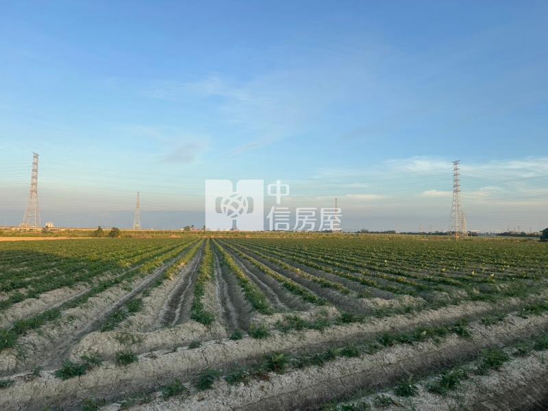 新市新大洲都計內美農地房屋室內格局與周邊環境