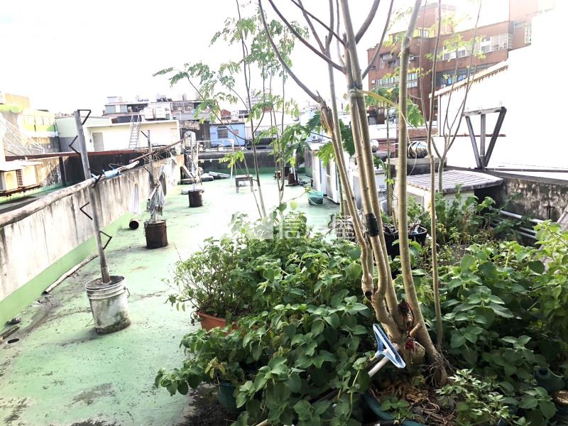 A23站龍岡電梯透天房屋室內格局與周邊環境