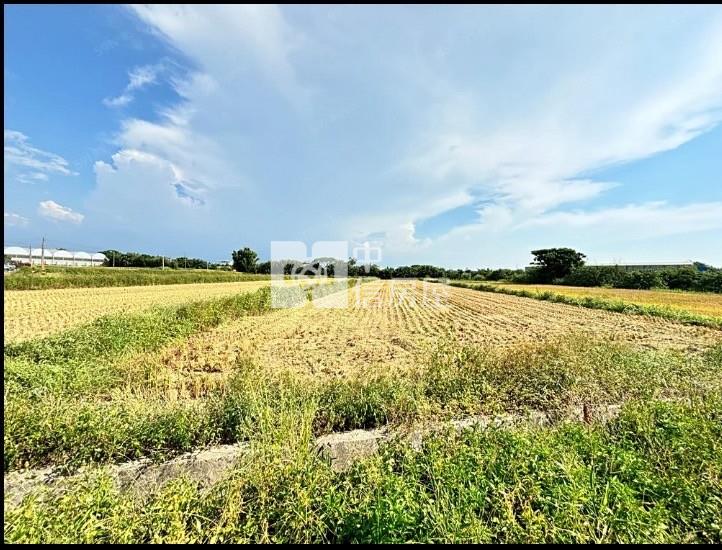 新屋市區旁農地房屋室內格局與周邊環境