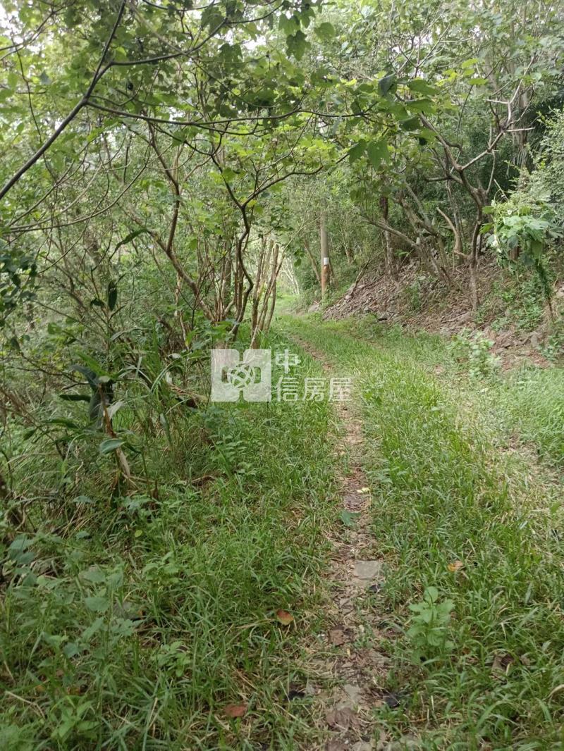 J1-37太麻里多良好農地(專任)房屋室內格局與周邊環境
