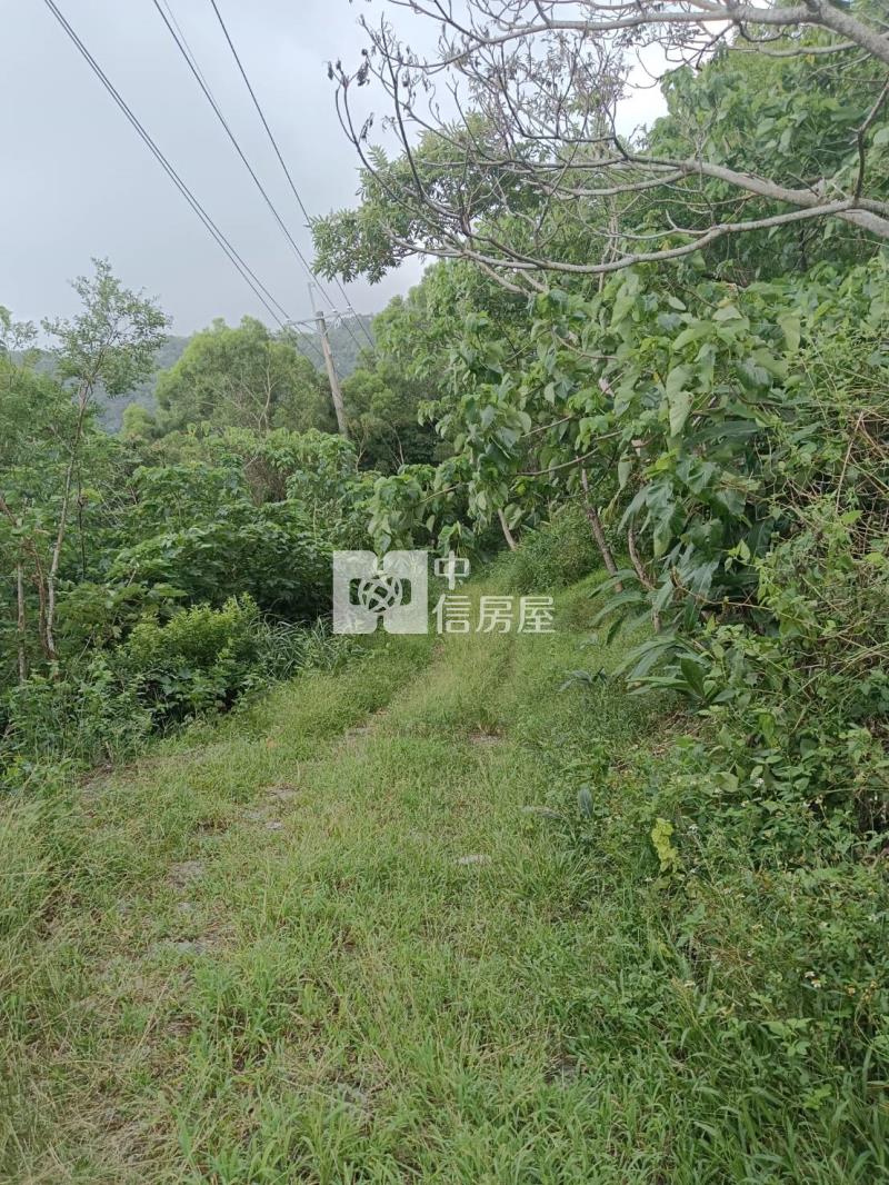 J1-37太麻里多良好農地(專任)房屋室內格局與周邊環境
