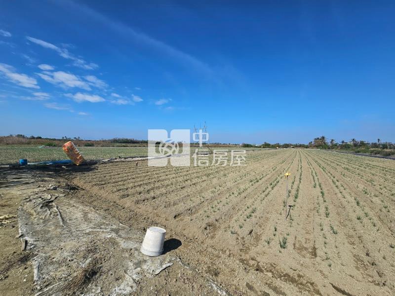 安南土城都內農地(一)房屋室內格局與周邊環境