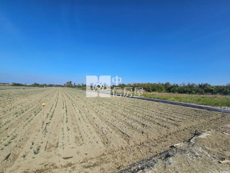 安南土城都內農地(一)房屋室內格局與周邊環境