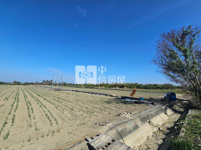 安南土城都內農地(二)房屋室內格局與周邊環境