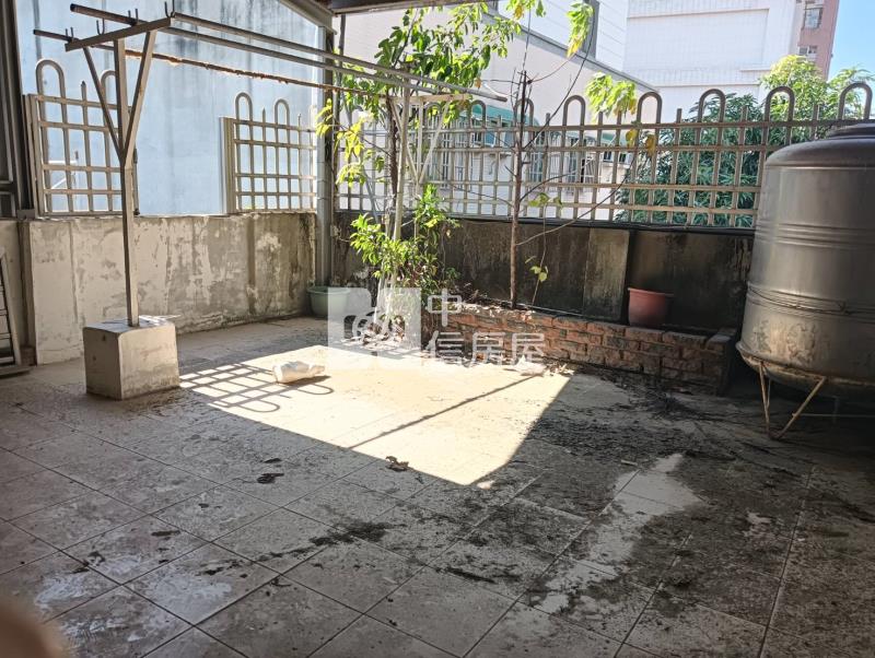 東區仁德活巷邊間透天房屋室內格局與周邊環境