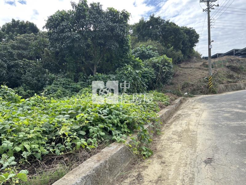 大內新厝子上下農地外加資材室房屋室內格局與周邊環境