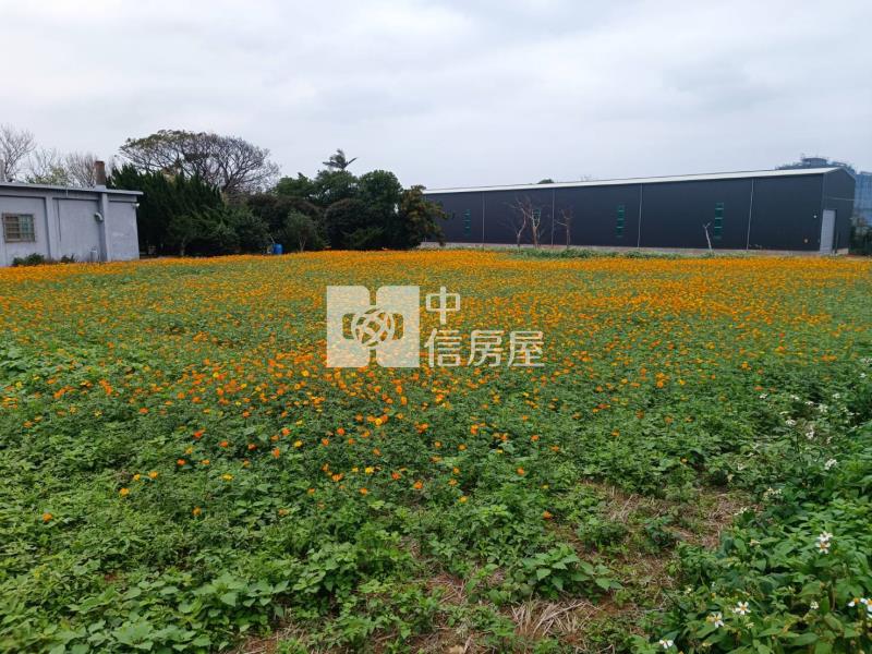 【安家】山東國小月桃路旁全新合法農業設施房屋室內格局與周邊環境