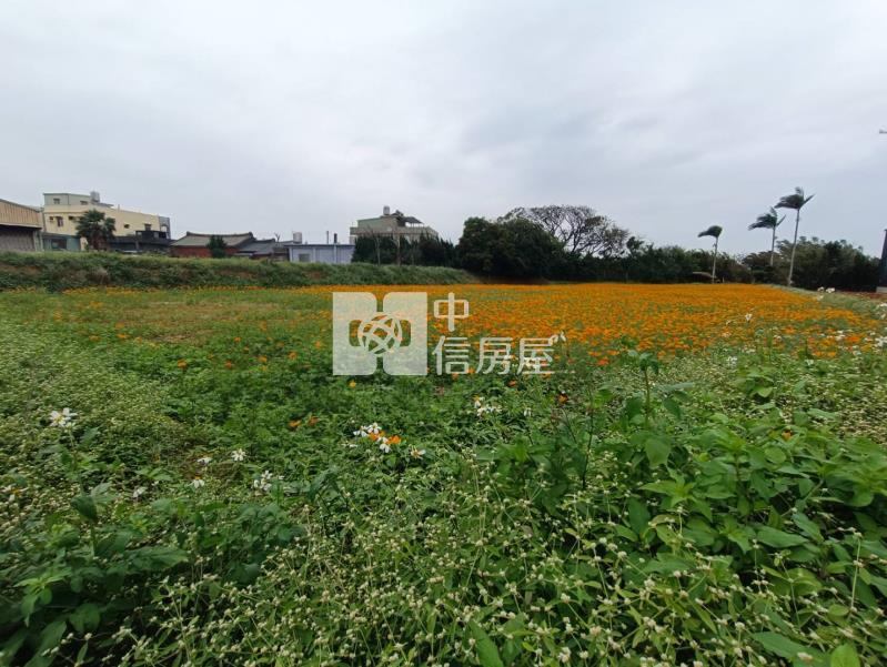 【安家】山東國小月桃路旁全新合法農業設施房屋室內格局與周邊環境
