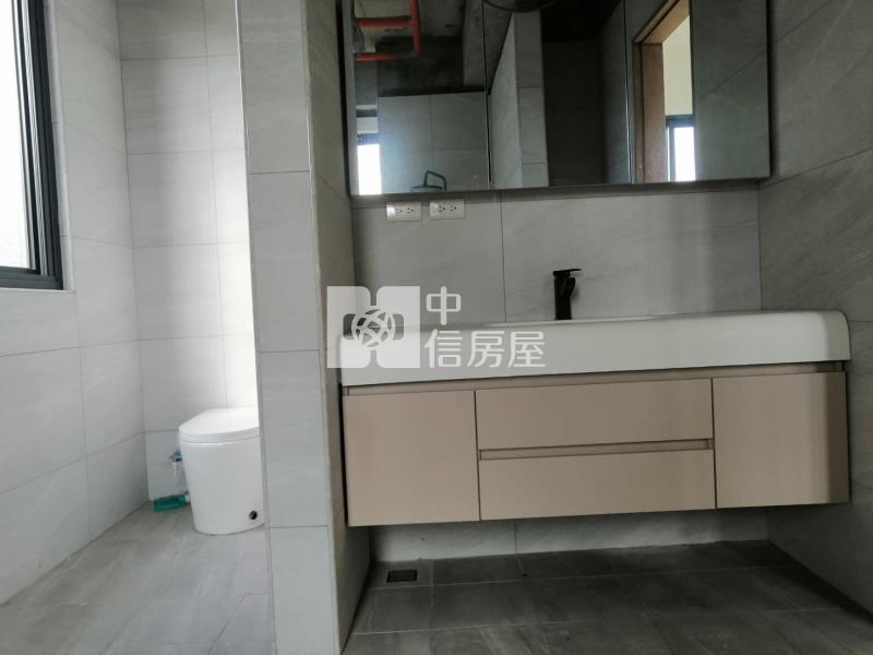 平鎮近66復旦全新電梯別墅房屋室內格局與周邊環境