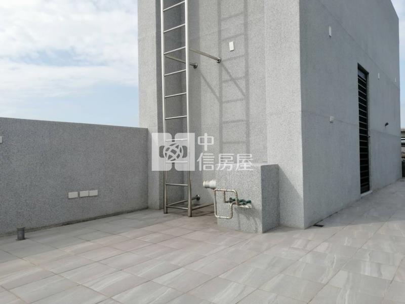 平鎮近66復旦全新電梯別墅房屋室內格局與周邊環境