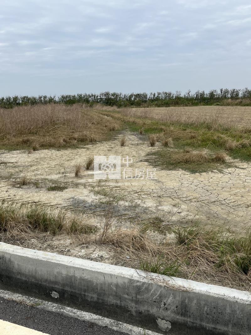 七股近龍山宮744坪農地房屋室內格局與周邊環境