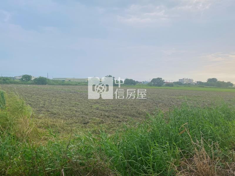 新營臨路10米方正美農地房屋室內格局與周邊環境