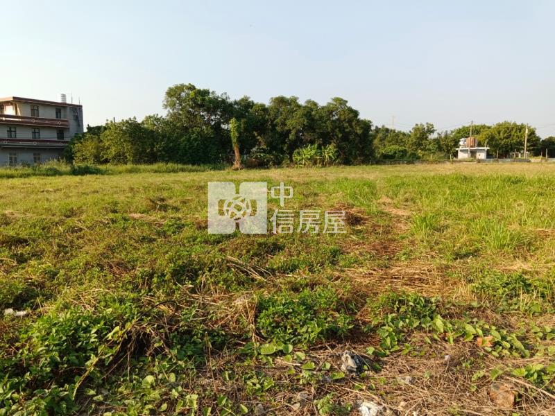阿蓮石安臨路養殖農地房屋室內格局與周邊環境