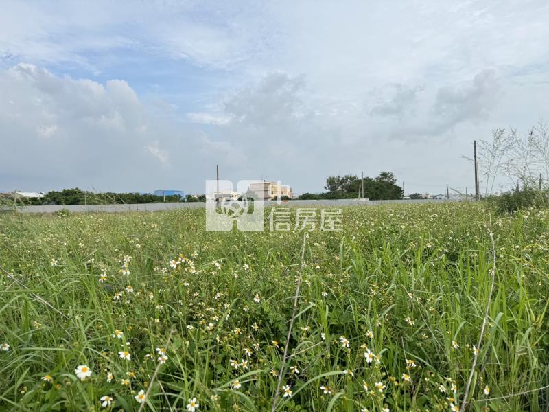台1線旁好地點！｜848坪角地｜雙面臨18米路｜可農舍｜有資材室房屋室內格局與周邊環境