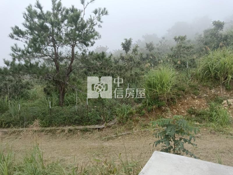 J1-39太麻里多良看雲海農地(專任)房屋室內格局與周邊環境
