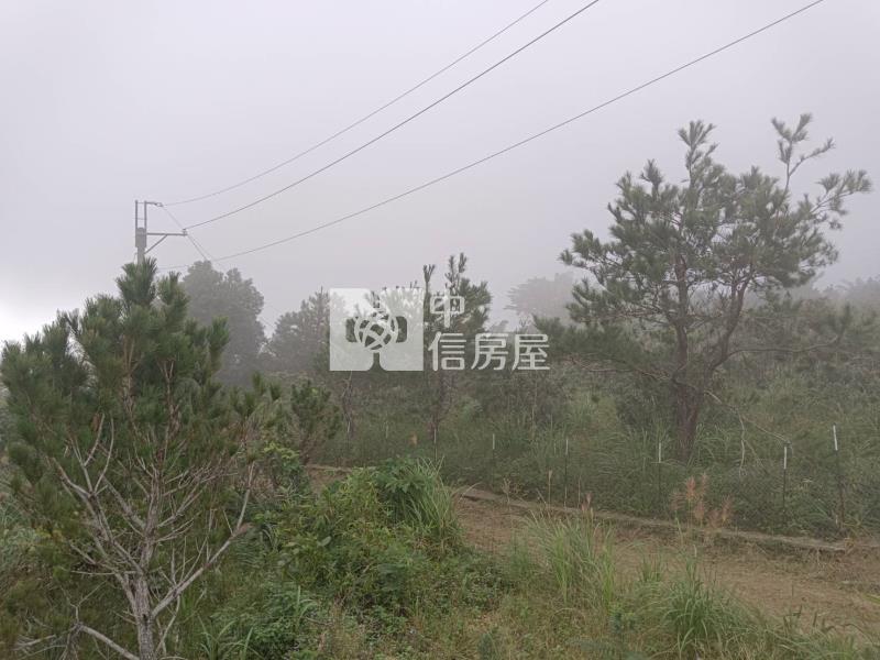J1-39太麻里多良看雲海農地(專任)房屋室內格局與周邊環境