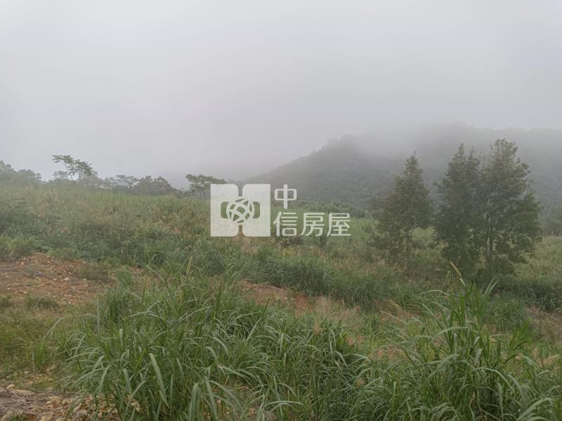 J1-39太麻里多良看雲海農地(專任)房屋室內格局與周邊環境