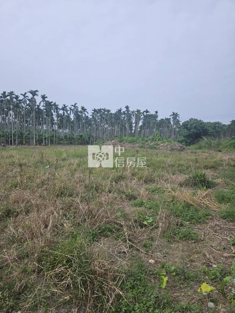 屏東萬巒泗水農地房屋室內格局與周邊環境