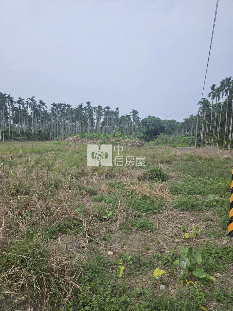 屏東萬巒泗水農地房屋室內格局與周邊環境