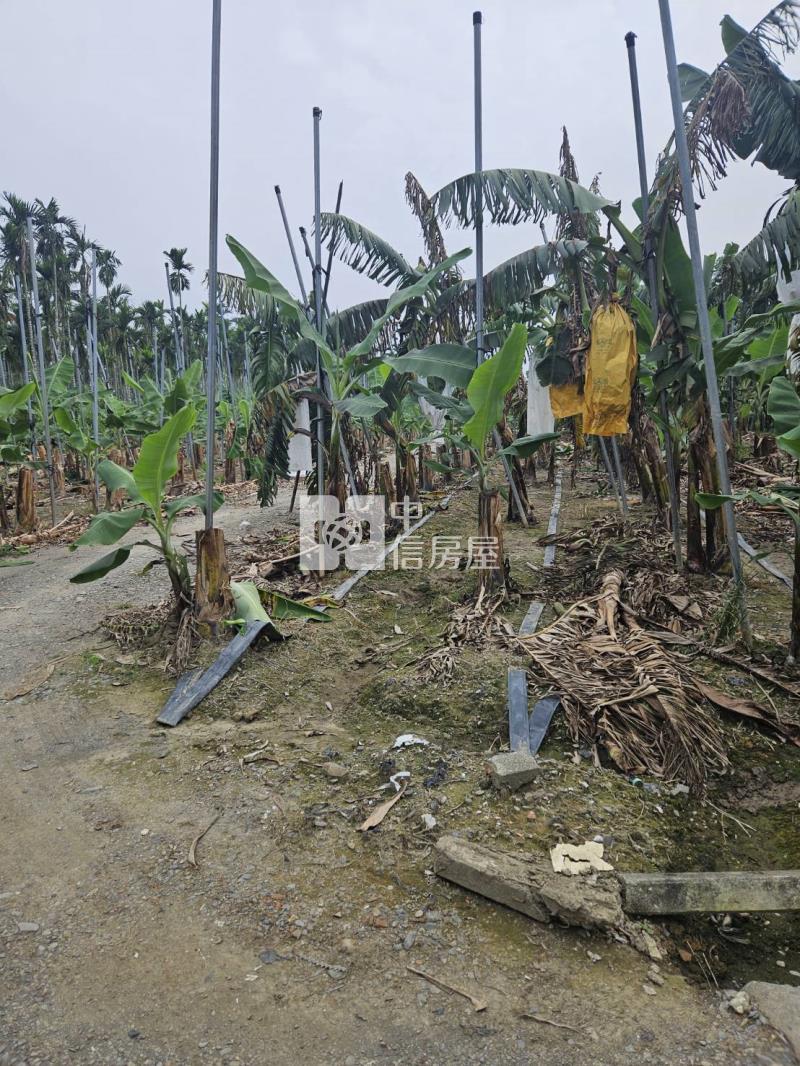 屏東萬巒泗水農地房屋室內格局與周邊環境