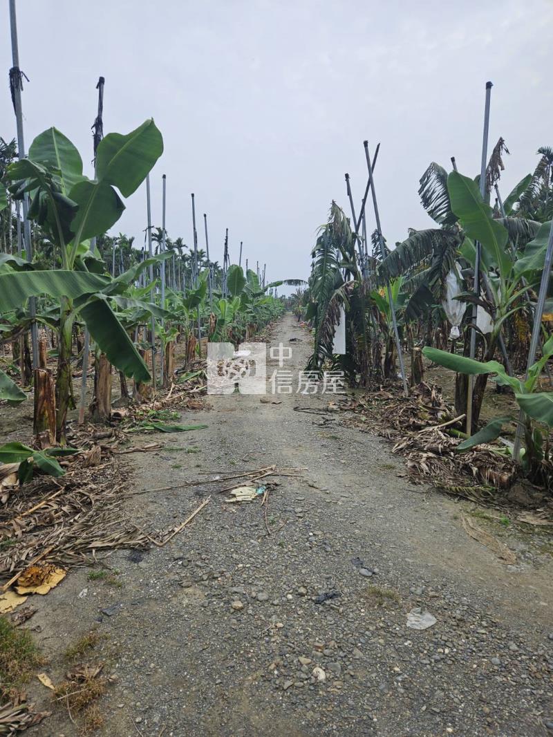 屏東萬巒泗水農地房屋室內格局與周邊環境