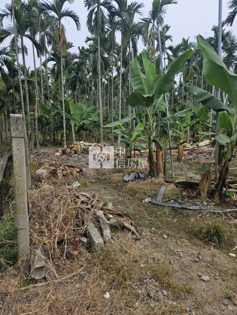 屏東萬巒泗水農地房屋室內格局與周邊環境