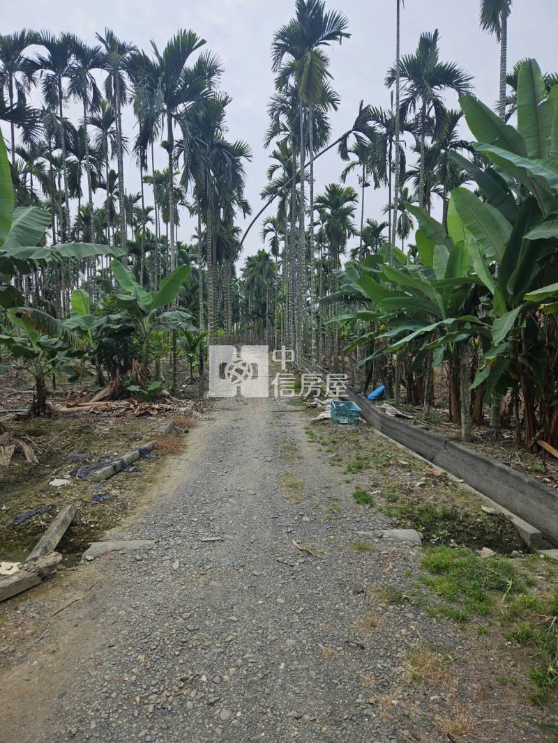 屏東萬巒泗水農地房屋室內格局與周邊環境