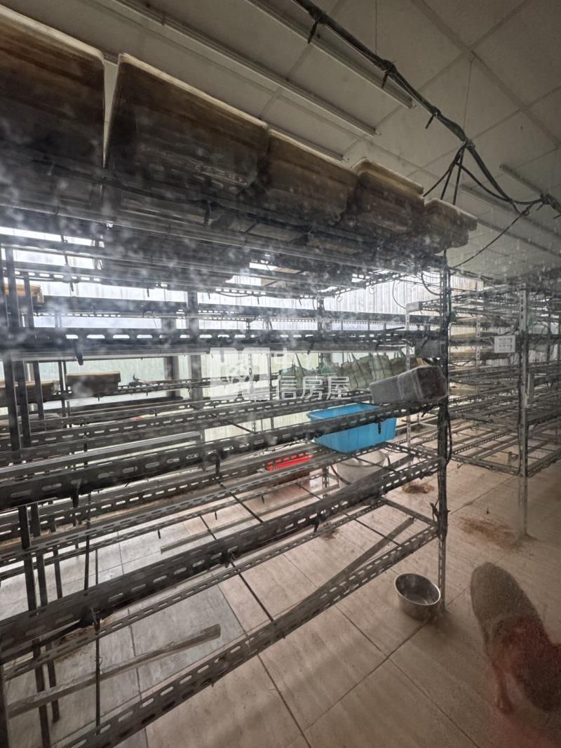 61農業設施+農業資材室房屋室內格局與周邊環境