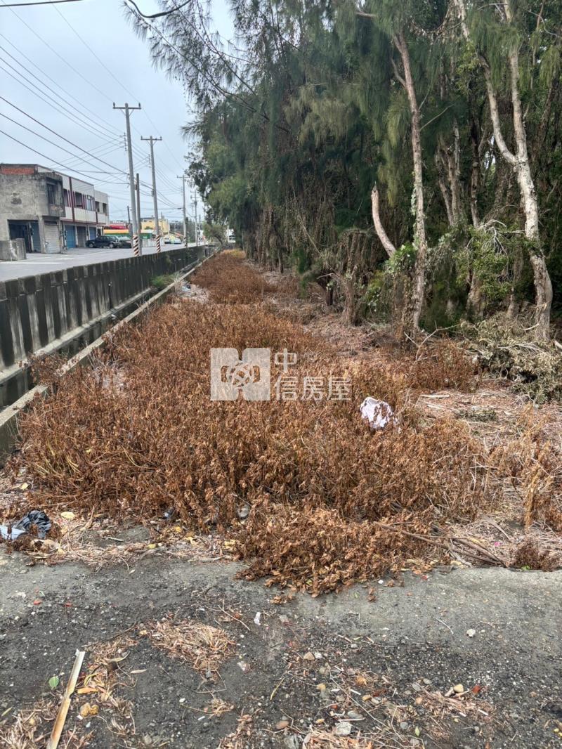 施厝大路邊農地房屋室內格局與周邊環境