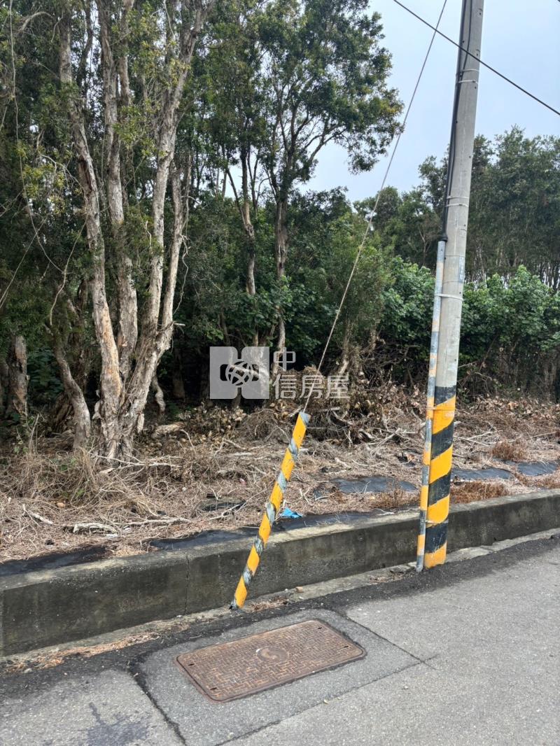 施厝大路邊農地房屋室內格局與周邊環境