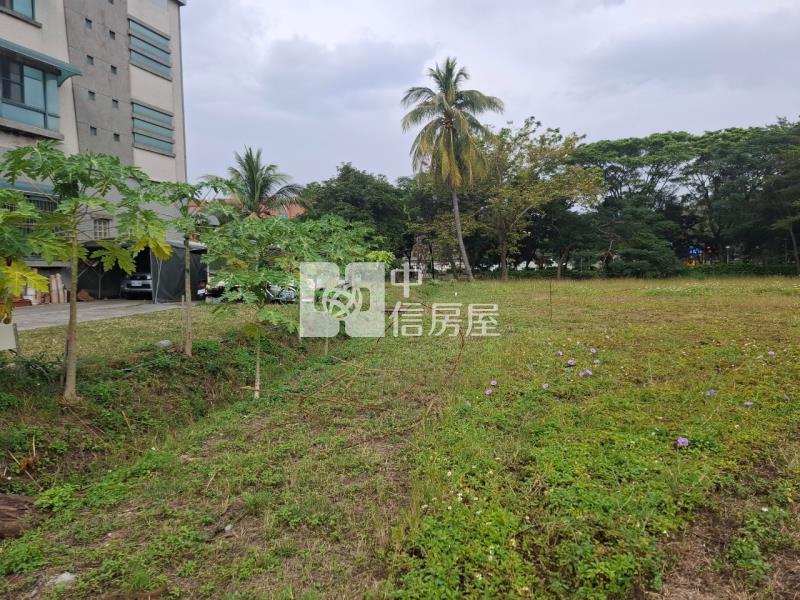 (專)新營區民族路體育場旁305坪美建地房屋室內格局與周邊環境