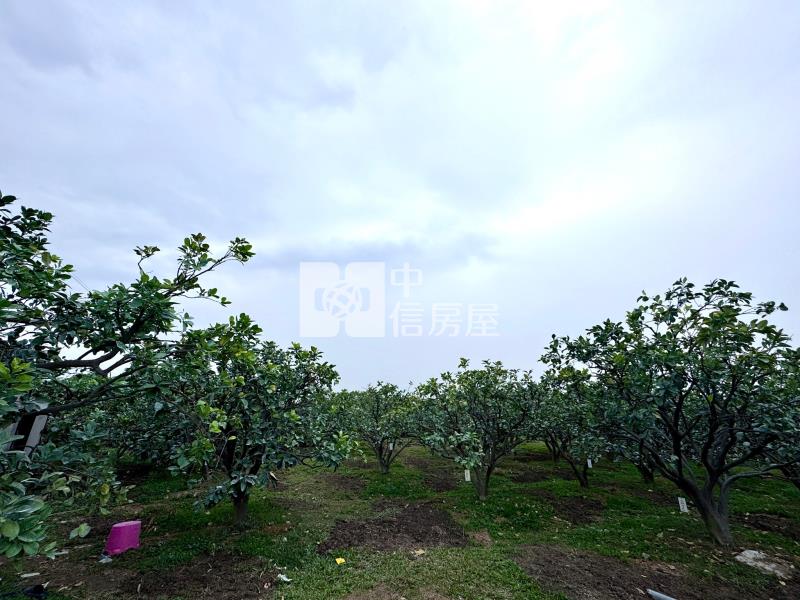 雲科大鄰都市計畫區有水電農地房屋室內格局與周邊環境