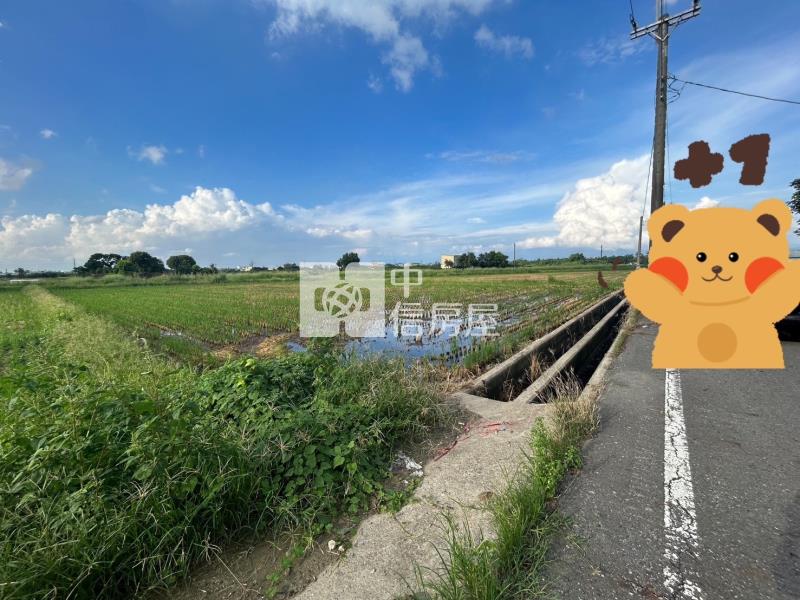 龜子港雙面臨路美農地房屋室內格局與周邊環境